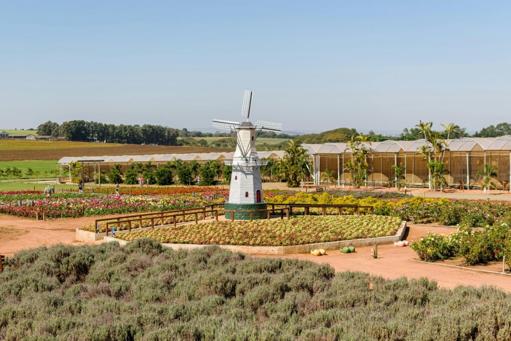 AI sustainable farming USA 2025 vertical farm