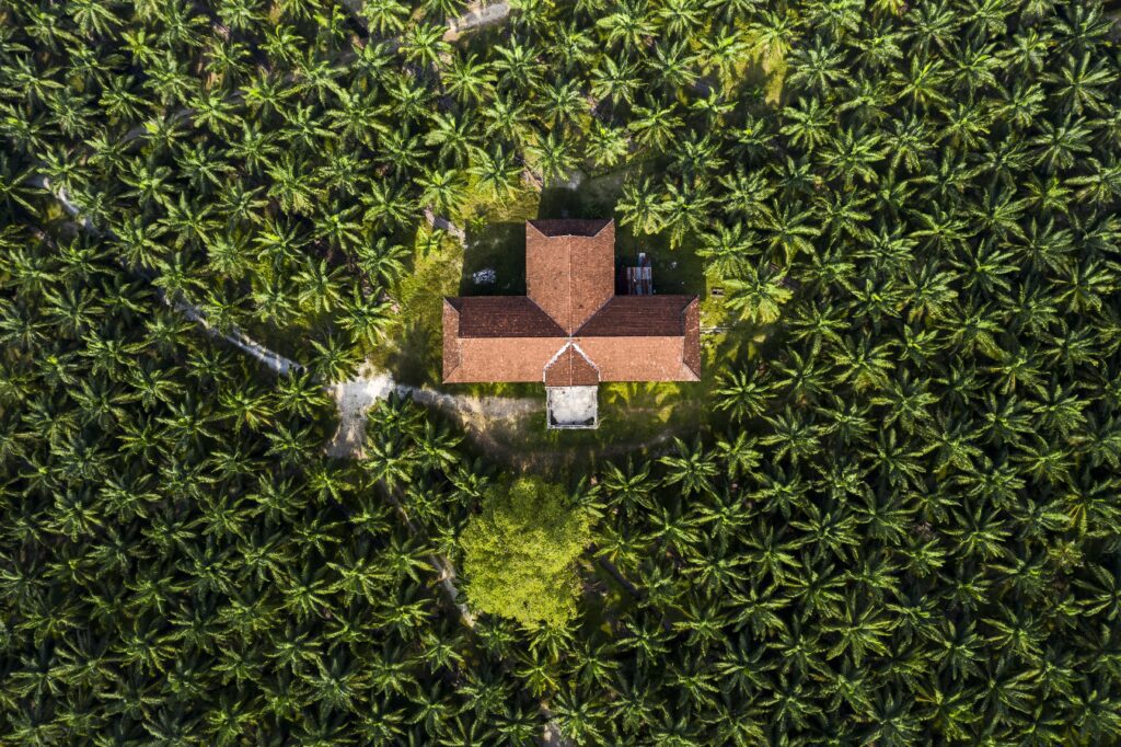 How green AI is transforms urban rooftop farming in USA 2025 image