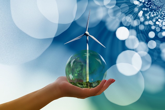 Sustainable Machine Learning Practices